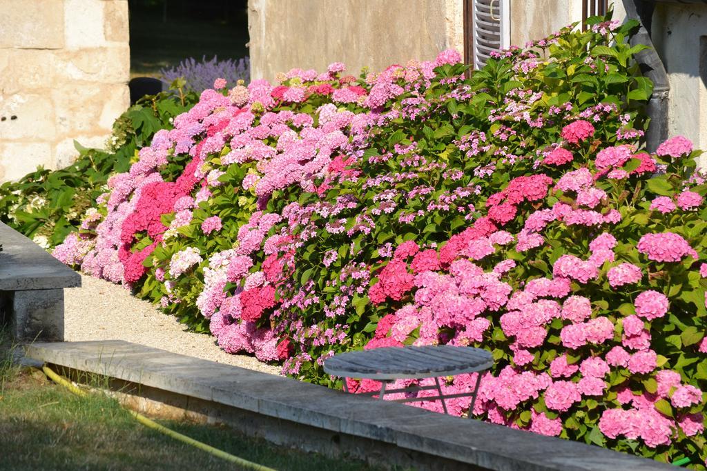 La Maison Du Potager De Mazieres Sainte-Solange Ngoại thất bức ảnh